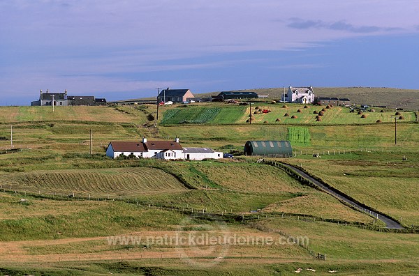 Crofting system, Unst, Shetland - Cultures traditionnelles sur Unst  14076