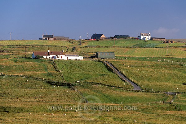 Crofting system, Unst, Shetland - Cultures traditionnelles sur Unst  14087