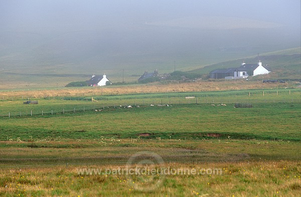 Crofting system, Northdale, Unst, Shetland - Maisons à Northdale  14088