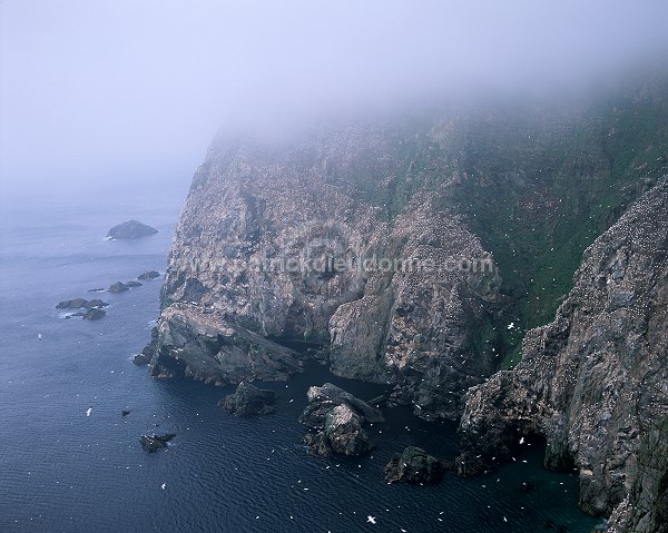 Hermaness Nature Reserve, Unst, Shetland - Hermaness, Shetland  14001