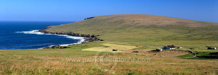 Crofting Scene at Hagdale, Unst, Shetland - Scene rurale à Hagdale, Unst 14128