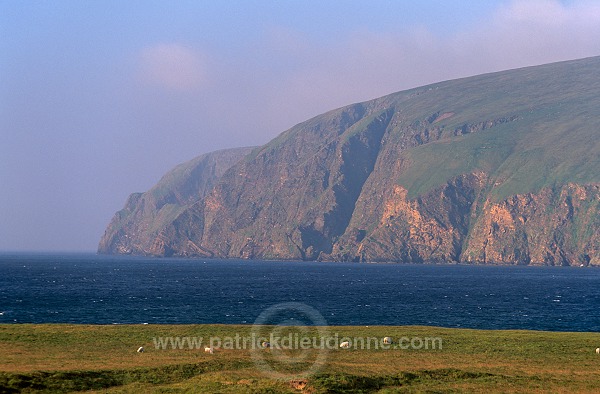 Burra Firth and Saxa Vord cliffs, Unst, Shetland - Baie de Burra Firth et falaises 14105