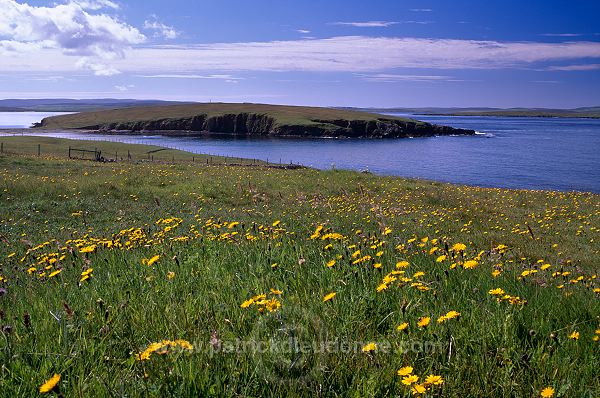 Ness of Sound, west coast of Yell. Shetland - Tombolo de Ness of Sound  14139
