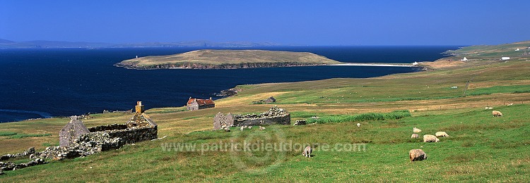 Croftland near Setter, Yell (SW), Shetland - Terres agricoles près de Setter, Yell  14156