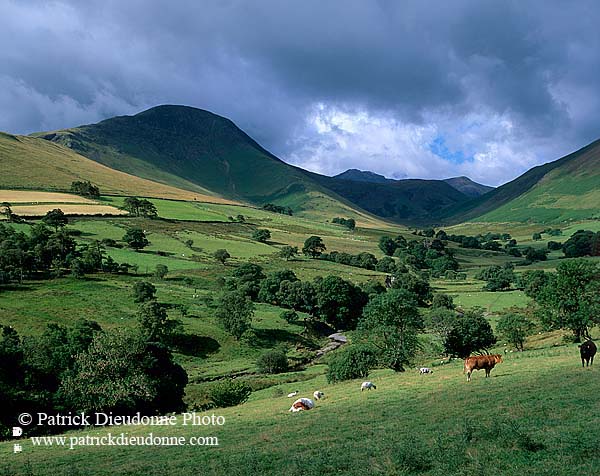 Keskadale valley, Lake District, England - Keskadale, Angleterre 14171