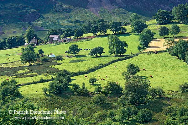 Keskadale valley, Lake District, England - Keskadale, Angleterre   14177