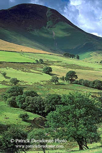 Keskadale valley, Lake District, England - Keskadale, Angleterre   14175