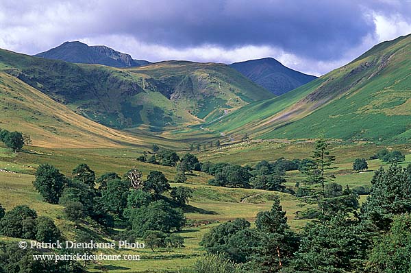 Keskadale valley, Lake District, England - Keskadale, Angleterre   14176