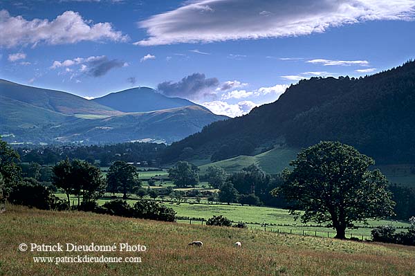 Valley in the Lake District, England - Vallée, Région des Lacs, Angleterre  14221