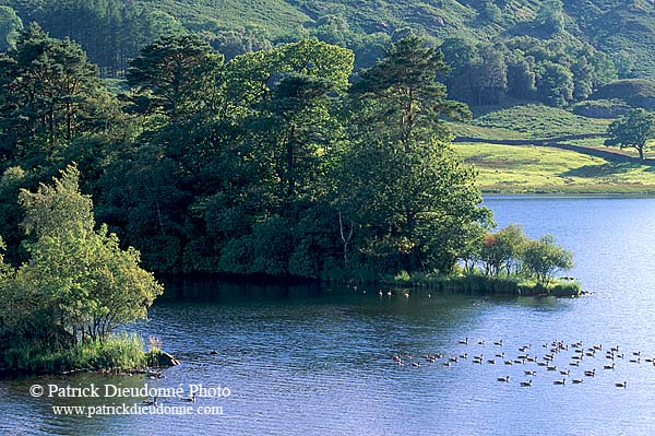 Rydal Water, Lake District, England - Rydal Water, Région des Lacs, Angleterre  14216