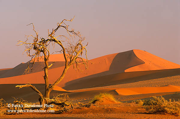 Red sand dunes, Sossusvlei, Namibia - Dunes, desert du Namib 14272