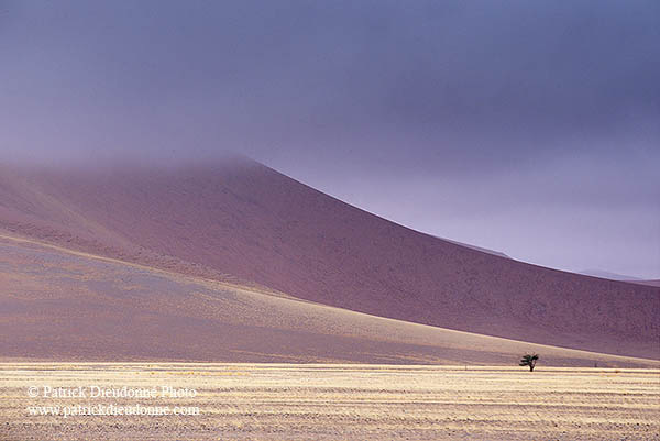 Red sand dunes, Sossusvlei, Namibia - Dunes, desert du Namib 14274