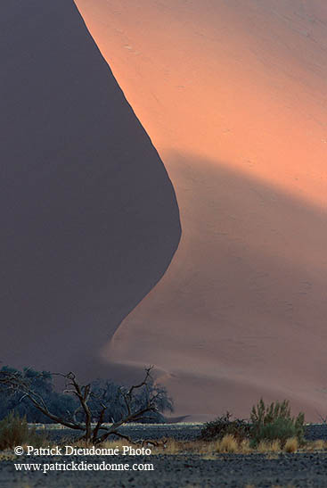 Red sand dunes, Sossusvlei, Namibia - Dunes, desert du Namib 14279