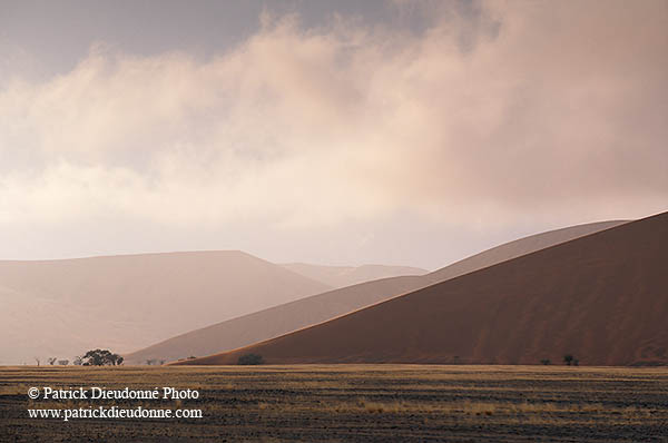 Red sand dunes, Sossusvlei, Namibia - Dunes, desert du Namib 14283