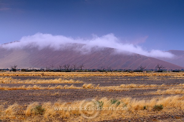 Red sand dunes, Sossusvlei, Namibia - Dunes, desert du Namib 14284