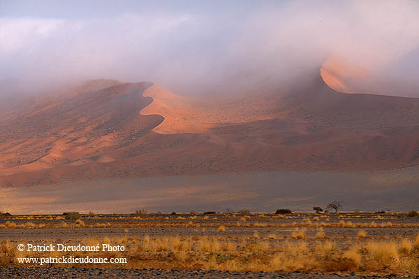 Red sand dunes, Sossusvlei, Namibia - Dunes, desert du Namib 14288