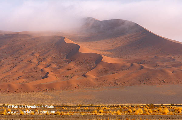 Red sand dunes, Sossusvlei, Namibia - Dunes, desert du Namib 14290