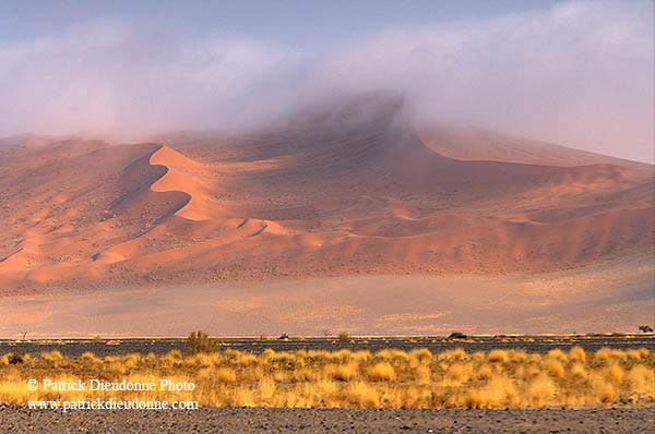 Red sand dunes, Sossusvlei, Namibia - Dunes, desert du Namib 14291