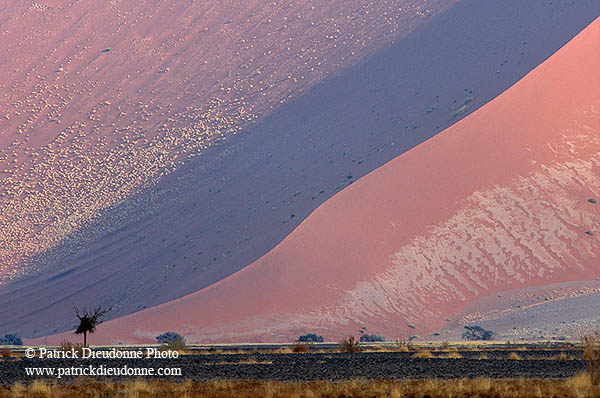 Red sand dunes, Sossusvlei, Namibia - Dunes, desert du Namib 14294