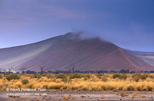 Red sand dunes, Sossusvlei, Namibia - Dunes, desert du Namib 14297