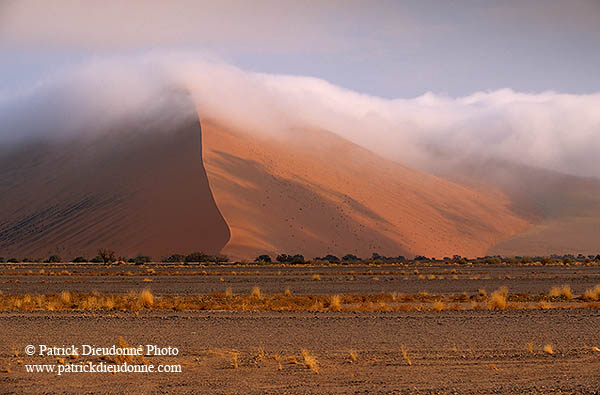 Red sand dunes, Sossusvlei, Namibia - Dunes, desert du Namib 14298