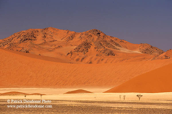 Red sand dunes, Sossusvlei, Namibia - Dunes, desert du Namib 14300