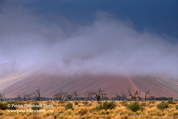 Red sand dunes, Sossusvlei, Namibia - Dunes, desert du Namib 14303