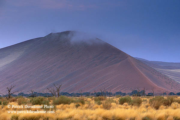 Red sand dunes, Sossusvlei, Namibia - Dunes, desert du Namib 14304