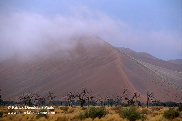 Red sand dunes, Sossusvlei, Namibia - Dunes, desert du Namib 14305