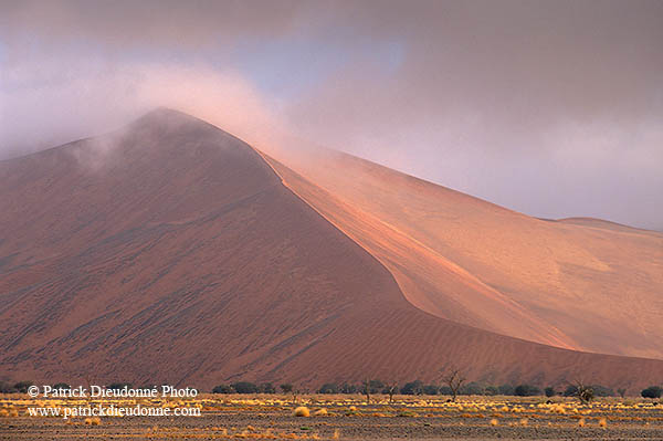 Red sand dunes, Sossusvlei, Namibia - Dunes, desert du Namib 14306