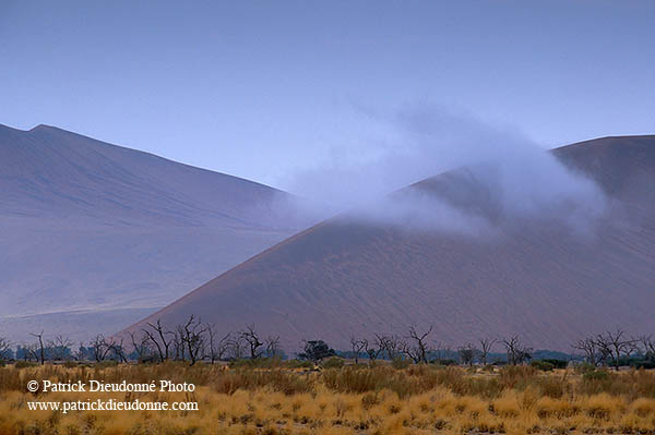 Red sand dunes, Sossusvlei, Namibia - Dunes, desert du Namib 14307