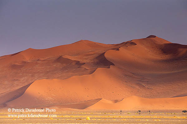 Red sand dunes, Sossusvlei, Namibia - Dunes, desert du Namib 14308