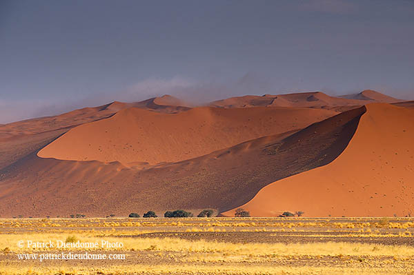 Red sand dunes, Sossusvlei, Namibia - Dunes, desert du Namib 14309