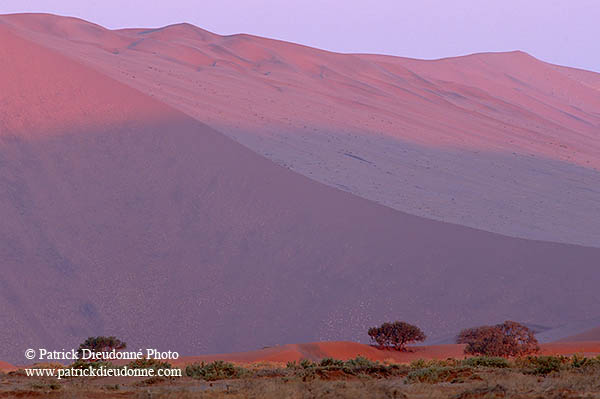 Red sand dunes, Sossusvlei, Namibia - Dunes, desert du Namib 14312