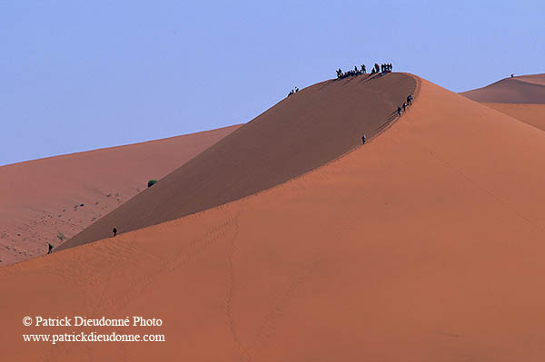 Red sand dunes, Sossusvlei, Namibia - Dunes, desert du Namib 14316
