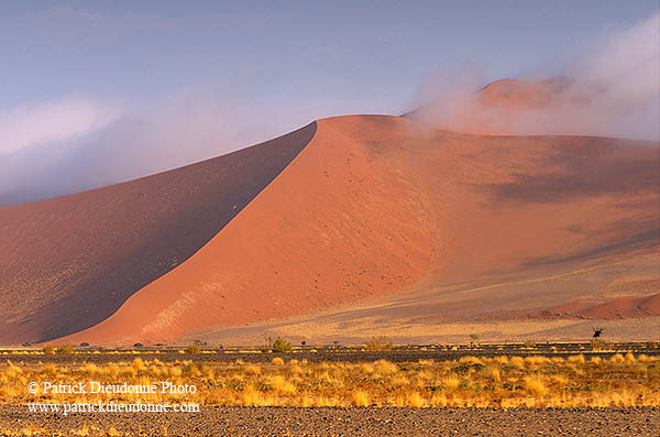 Red sand dunes, Sossusvlei, Namibia - Dunes, desert du Namib 14317