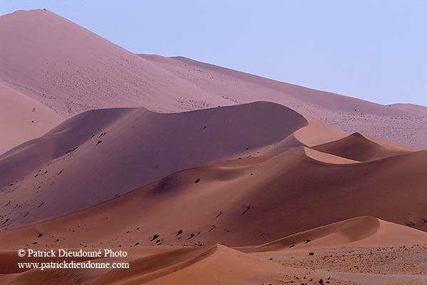 Red sand dunes, Sossusvlei, Namibia - Dunes, desert du Namib 14320