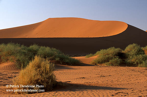 Red sand dunes, Sossusvlei, Namibia - Dunes, desert du Namib 14321