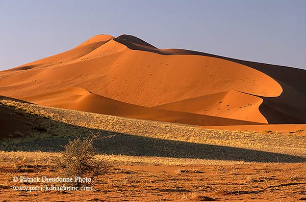 Red sand dunes, Sossusvlei, Namibia - Dunes, desert du Namib 14325