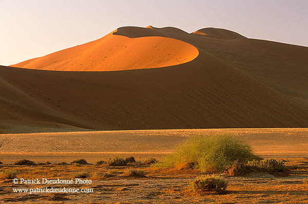 Red sand dunes, Sossusvlei, Namibia - Dunes, desert du Namib 14327
