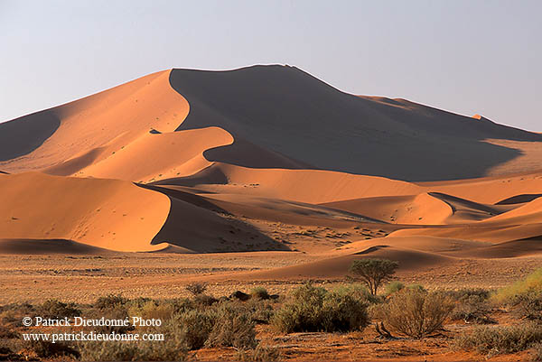 Red sand dunes, Sossusvlei, Namibia - Dunes, desert du Namib 14328