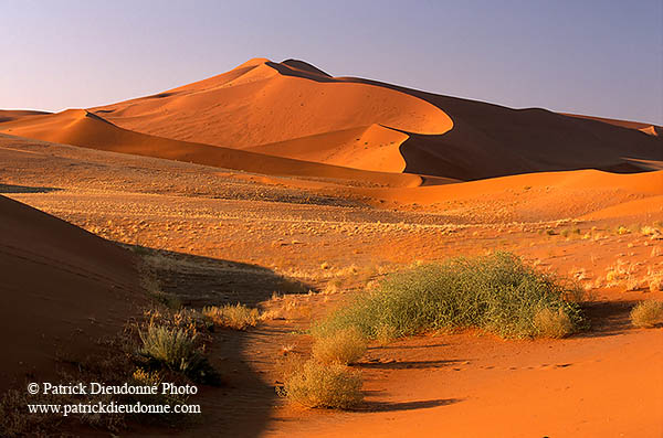 Red sand dunes, Sossusvlei, Namibia - Dunes, desert du Namib 14329