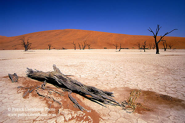 Deadvlei, Dunes and dead trees, Namibia - Deadvlei, desert du Namib - 14357