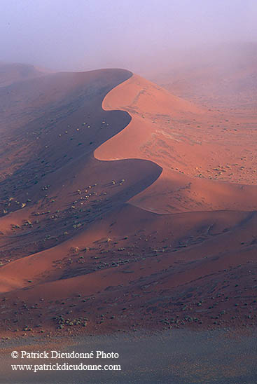 Red sand dunes, Sossusvlei, Namibia - Dunes, desert du Namib 14392