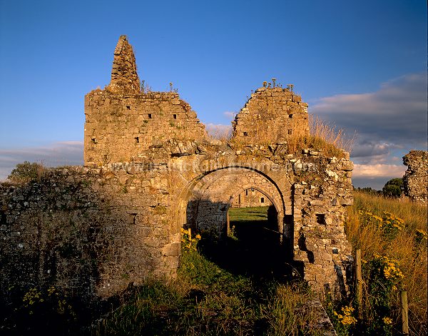 Athassel Priory, near Cashel, Ireland - Prieuré d'Athassel, Irlande  15189