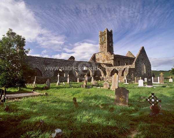 Timoleague Abbey, Timoleague, Ireland - Abbaye de Timoleague 15226