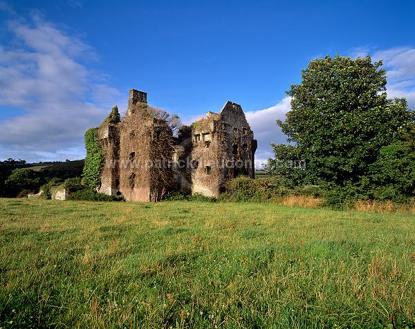 Castle at Rosscarbery, Ireland  - Chateau à Rosscarbery, Irlande 15227