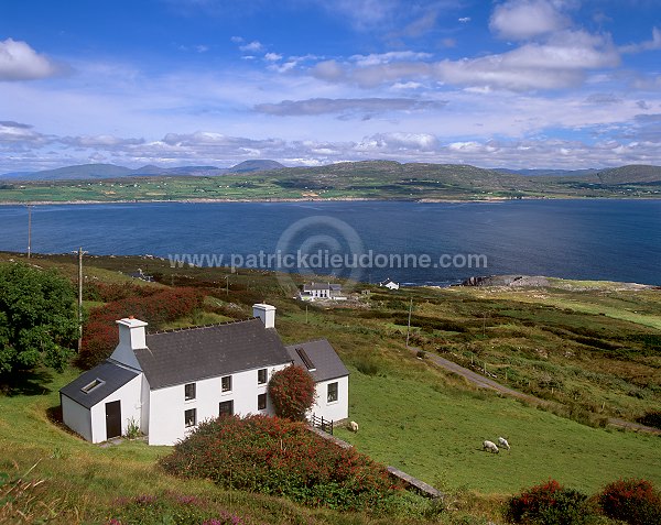 House and Dunmanus Bay, Ireland - Maison et cote rocheuse, Irlande  15317