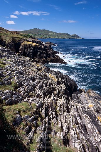 Rocky Coast of Dunmanus Bay, Ireland - Cote rocheuse, Irlande  15467