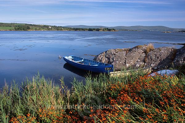 Tranquil bay near Adrigole, Beara, Ireland - Baie tranquille, Adrigole, Irlande 15469